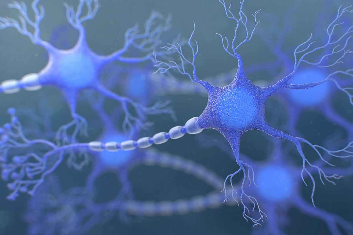 Mänsklig nervcell i 3D-illustration.